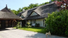 Tierarztpraxis Puvogel in Schaprode