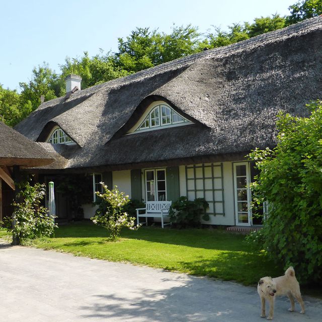 Tierarztpraxis Puvogel in Schaprode