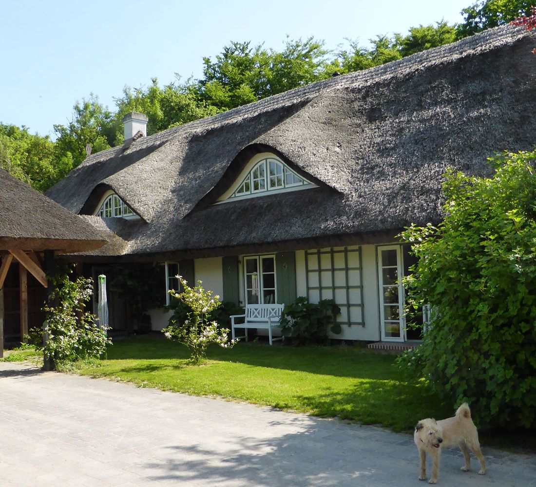 Tierarztpraxis Puvogel in Schaprode