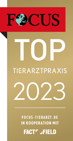 FOCUS Tierarztpraxen Deutschland im Vergleich
